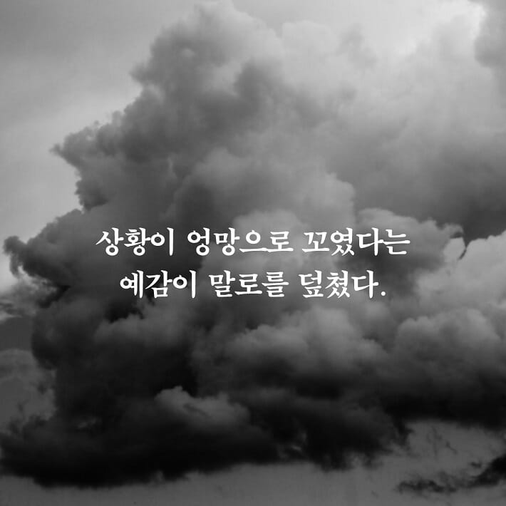 카드뉴스8