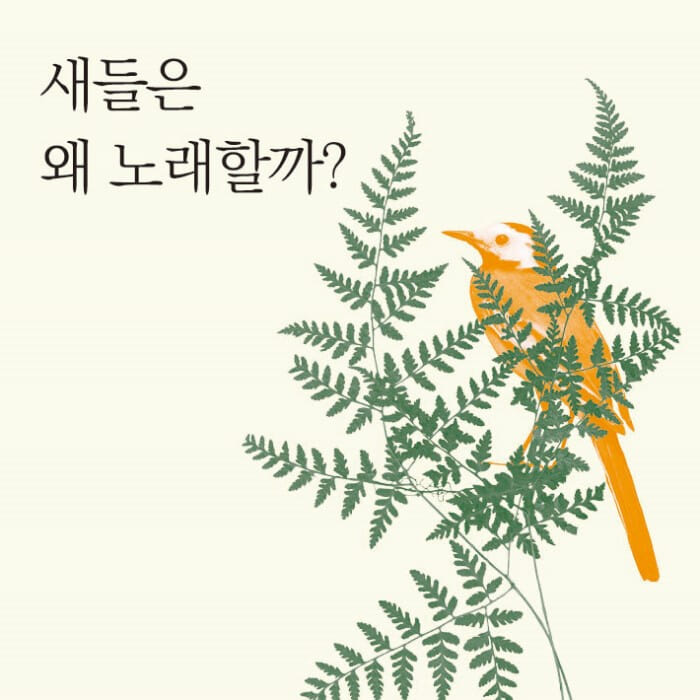 카드뉴스0