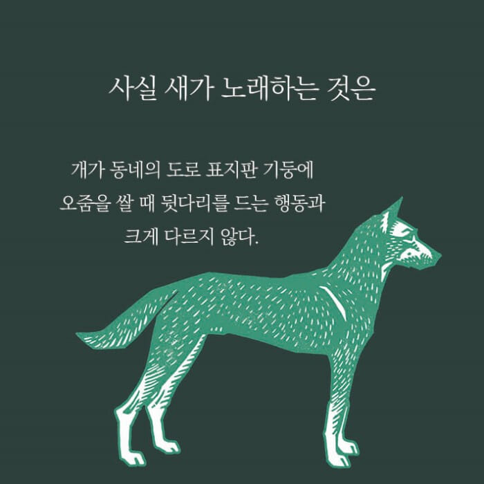 카드뉴스2