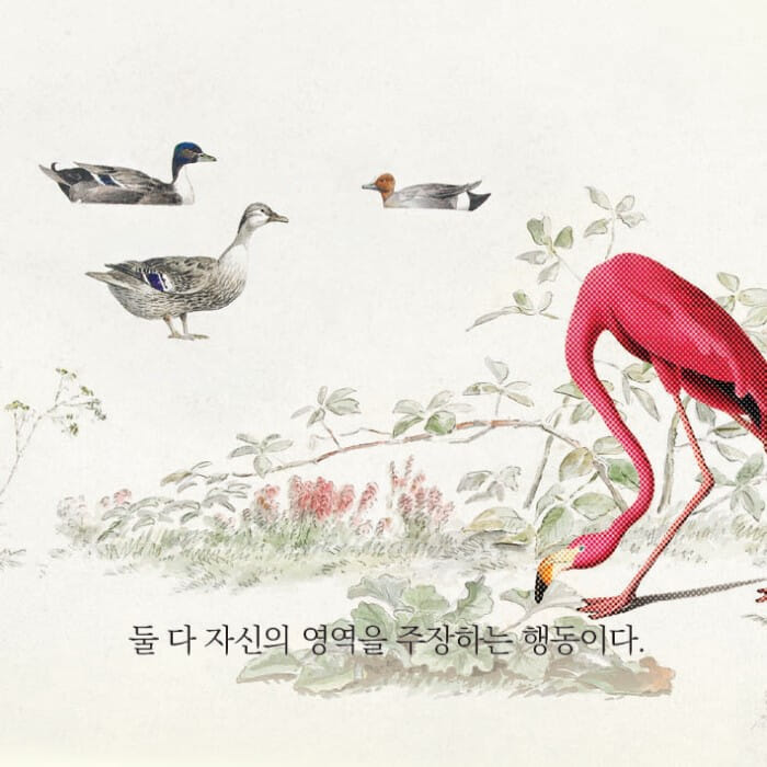 카드뉴스3