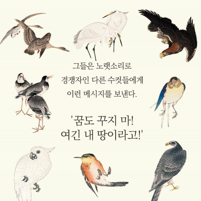 카드뉴스4