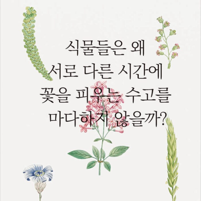 카드뉴스5