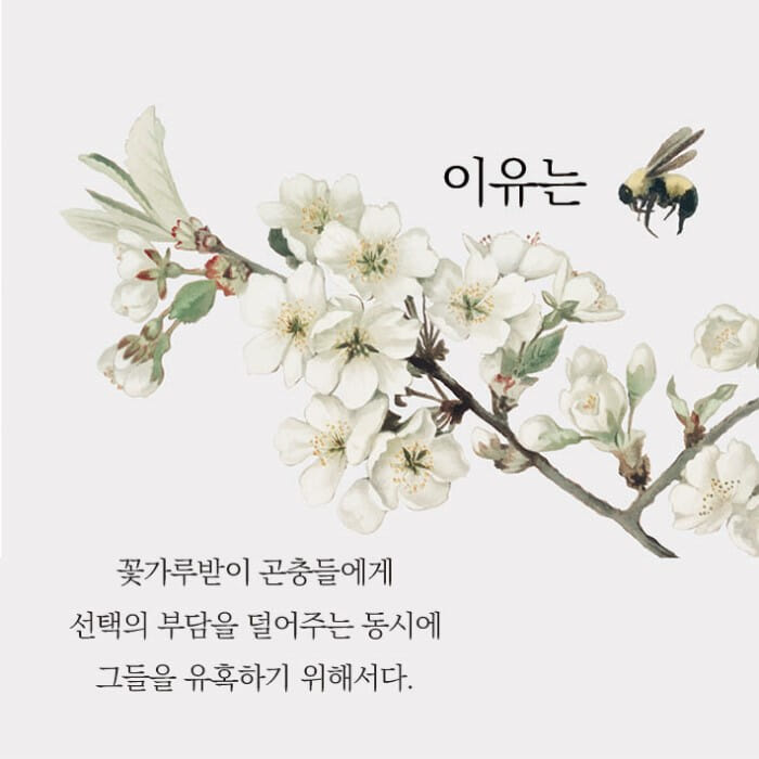 카드뉴스6