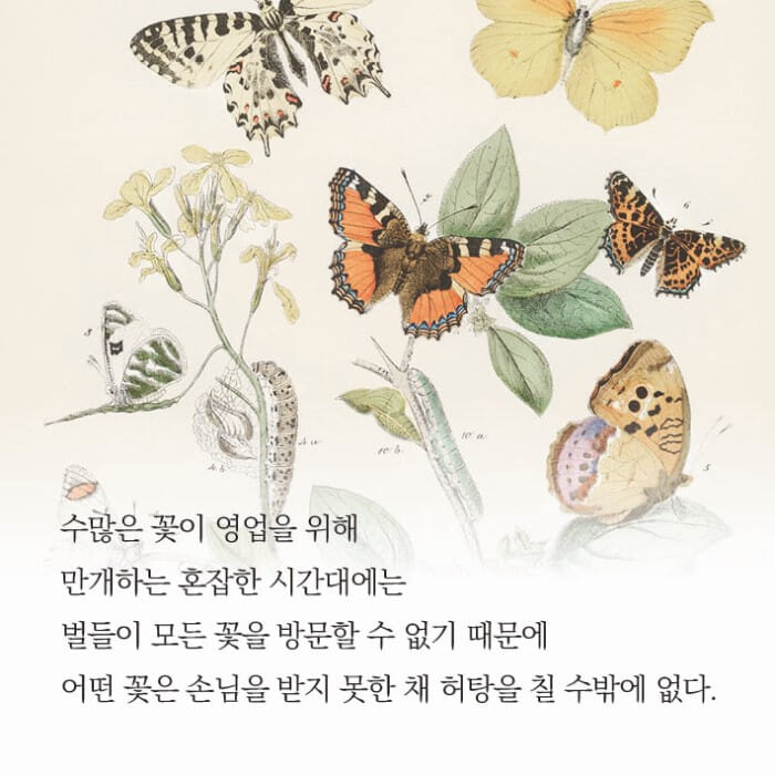 카드뉴스7