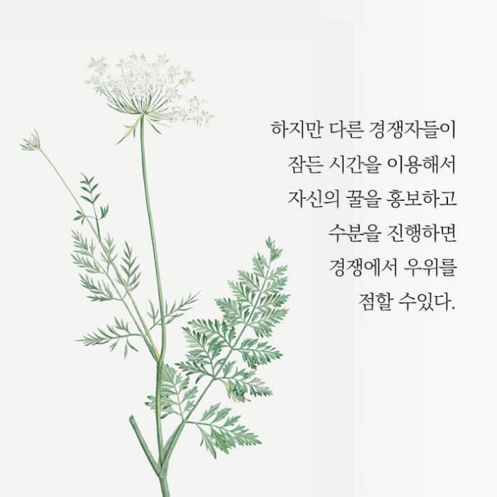 카드뉴스8