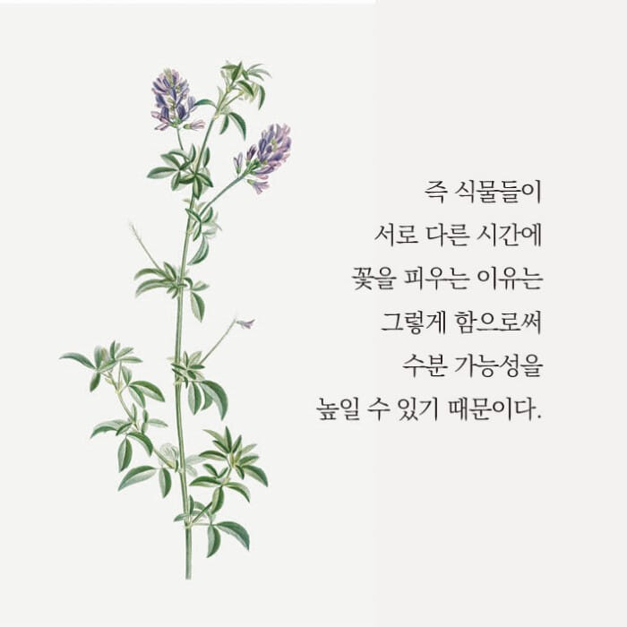 카드뉴스9