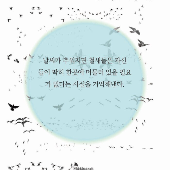 카드뉴스11