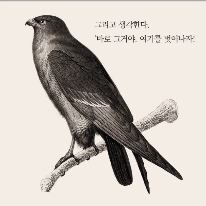 카드뉴스12