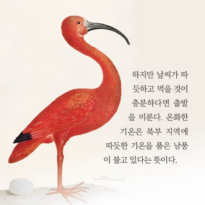카드뉴스13