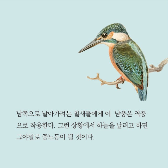 카드뉴스14