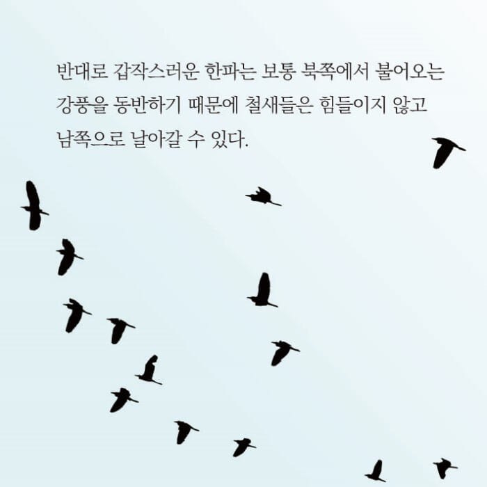 카드뉴스15