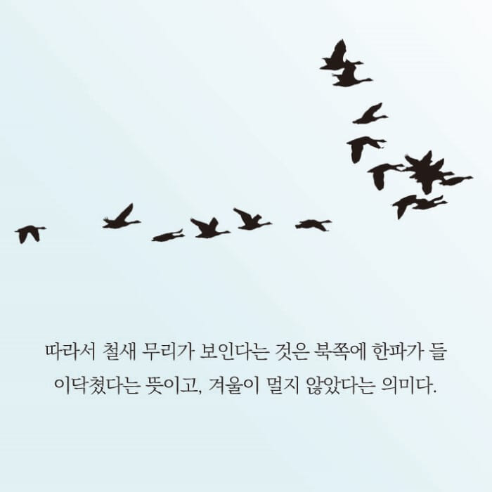 카드뉴스16