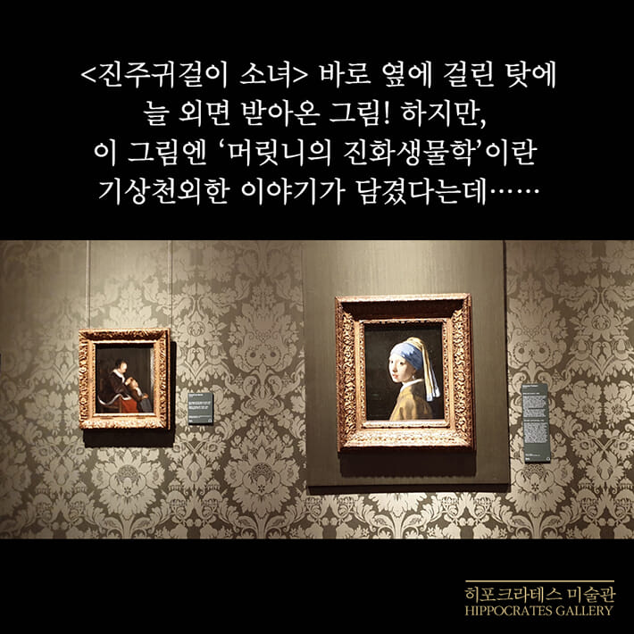 카드뉴스2