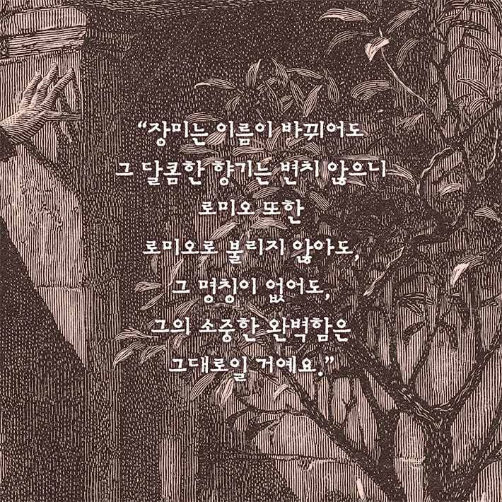 카드뉴스2