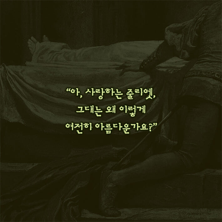카드뉴스4