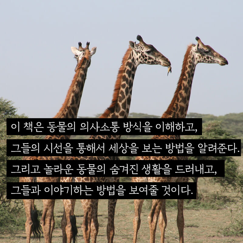 카드뉴스8