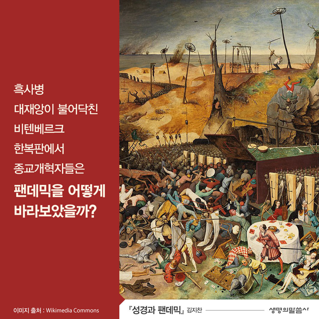 카드뉴스0