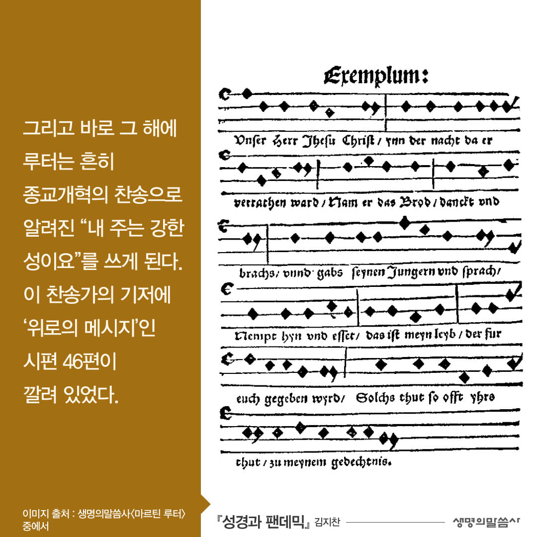 카드뉴스5