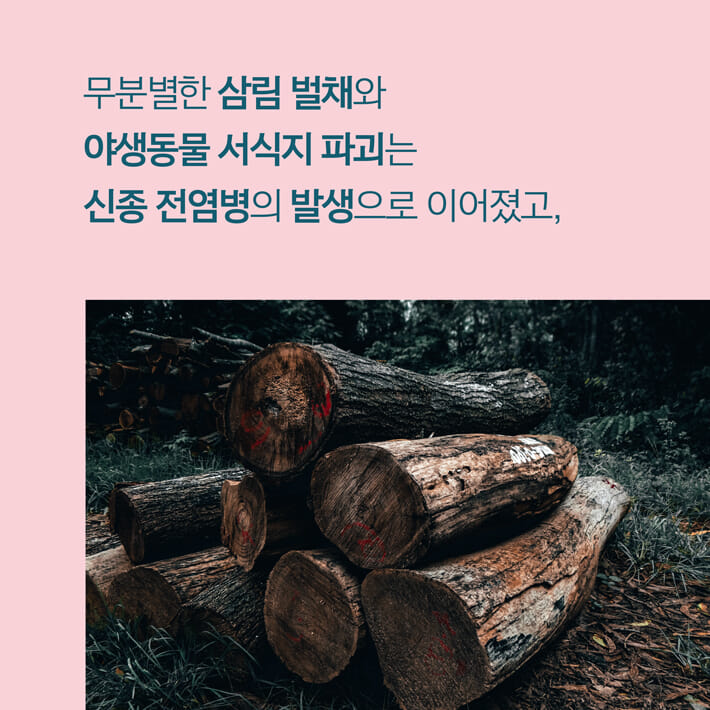 카드뉴스2