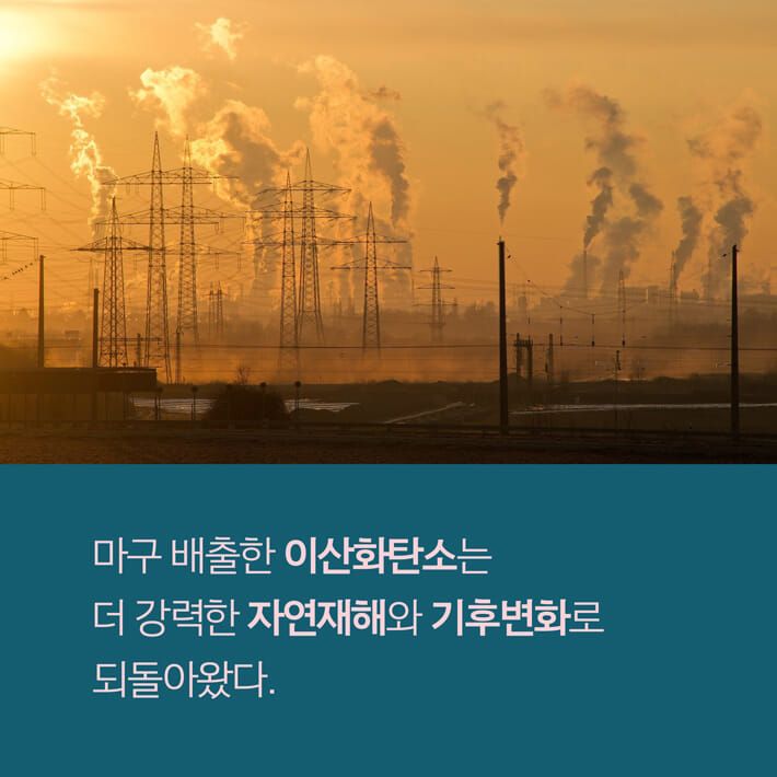 카드뉴스3