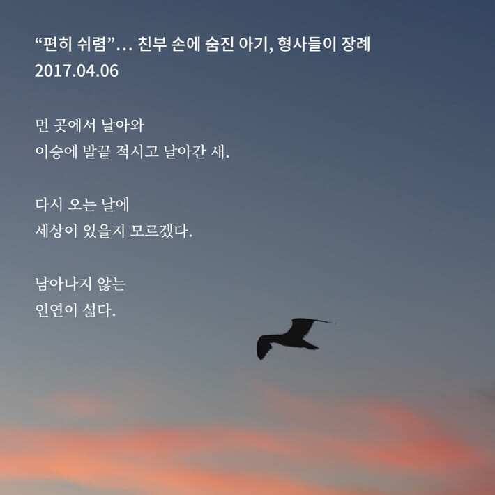 카드뉴스3