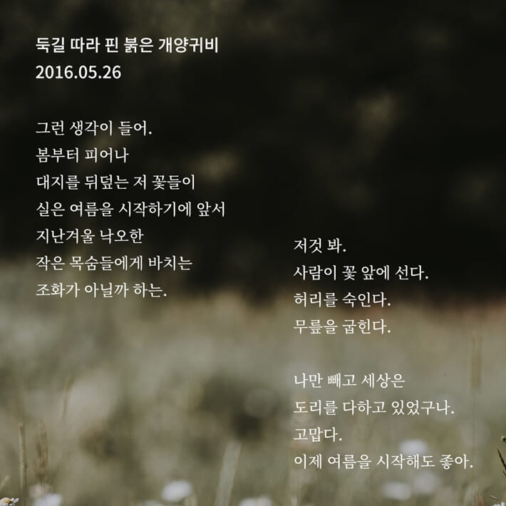 카드뉴스5
