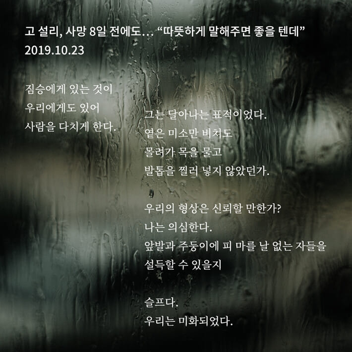 카드뉴스6