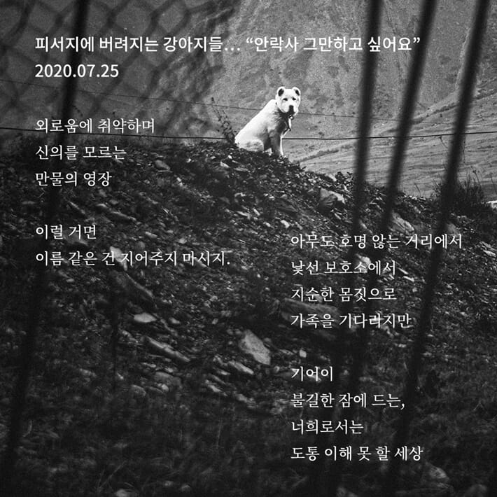 카드뉴스8