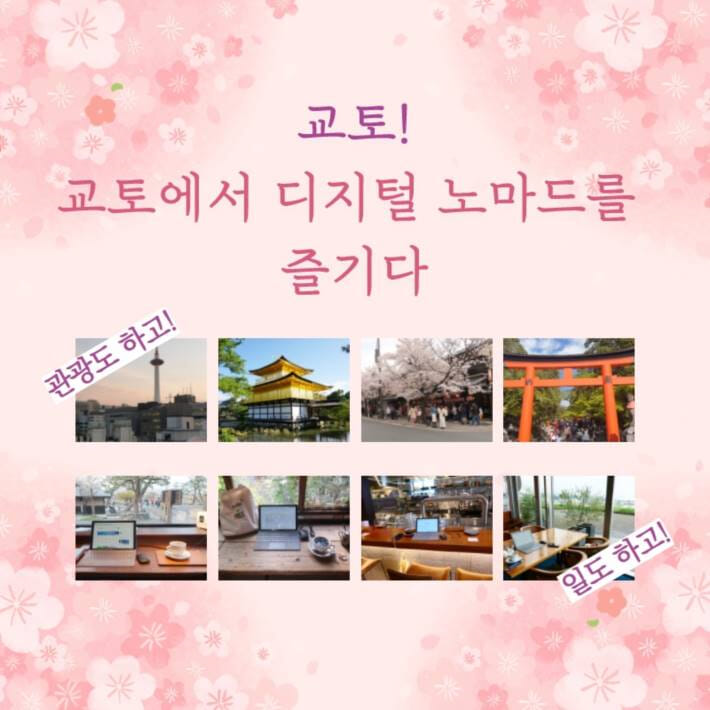 카드뉴스3