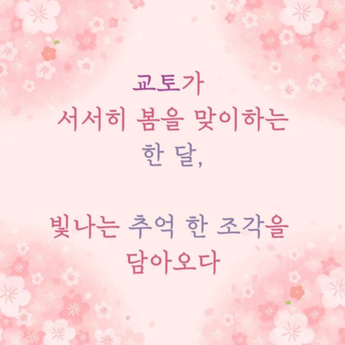 카드뉴스7