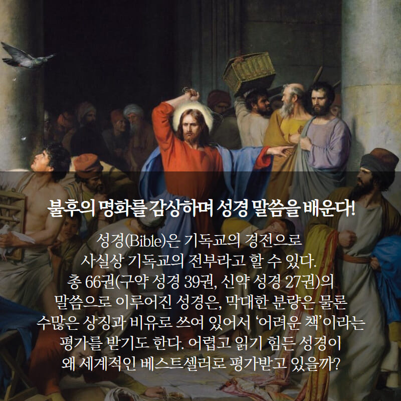 카드뉴스2