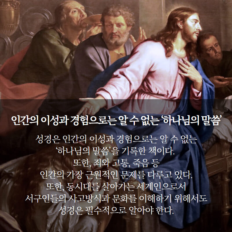 카드뉴스3