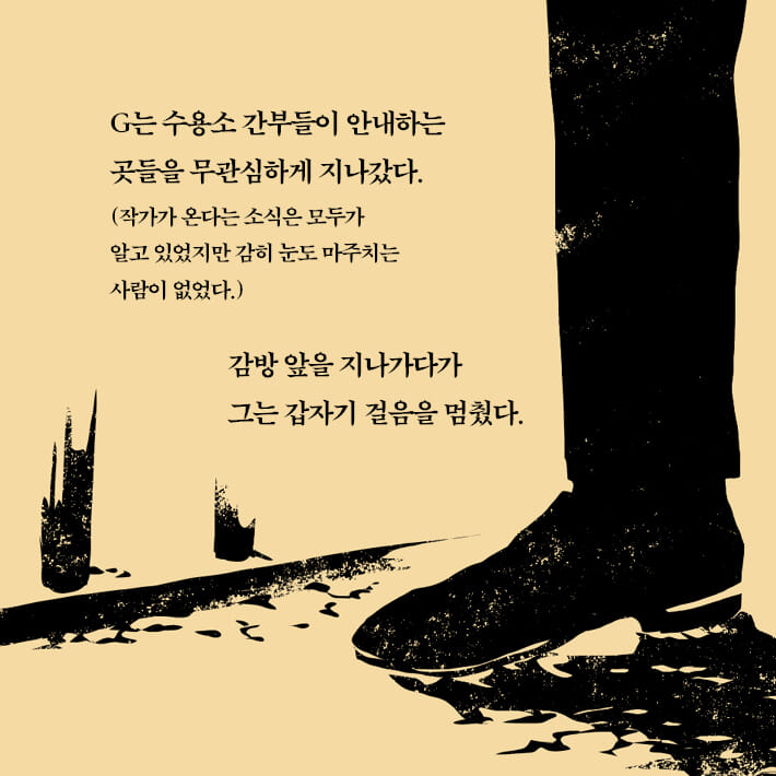 카드뉴스5