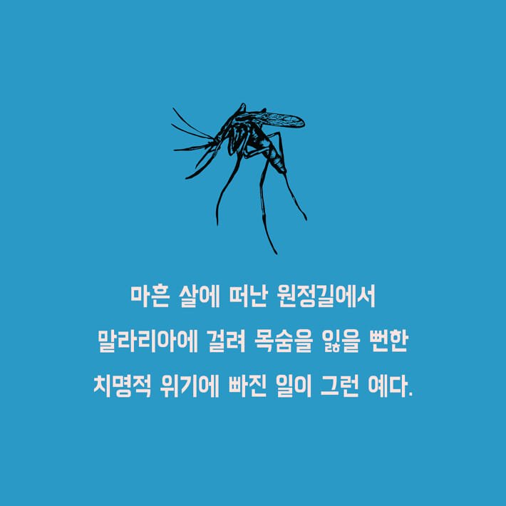 카드뉴스3