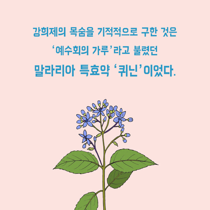 카드뉴스5