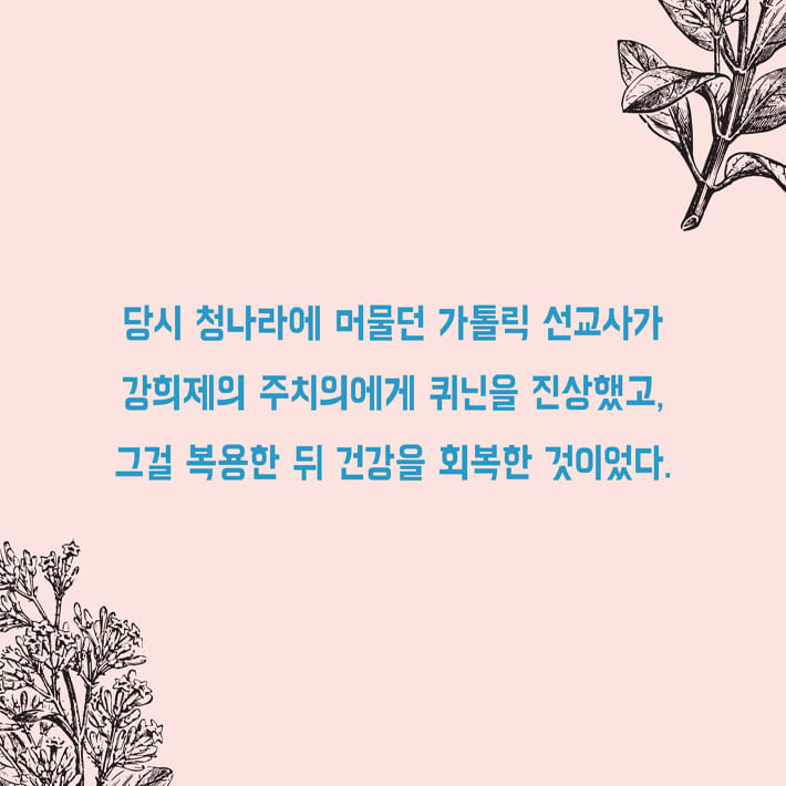 카드뉴스6