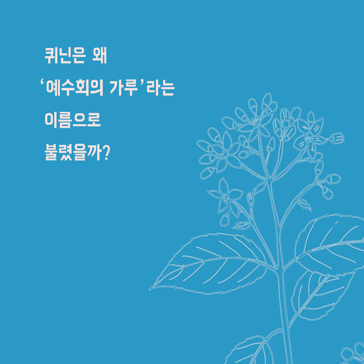 카드뉴스10
