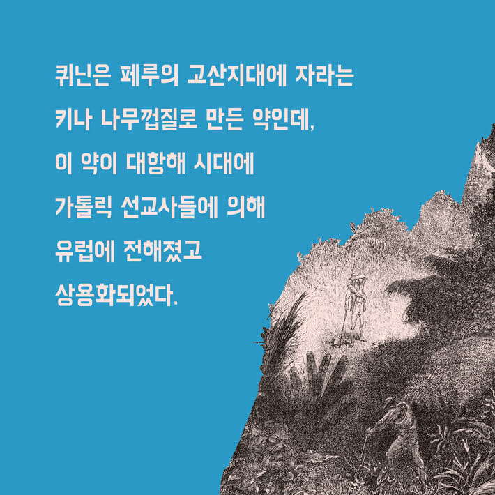 카드뉴스11