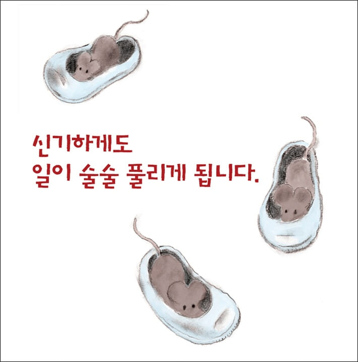 카드뉴스3