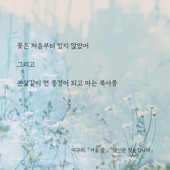 카드뉴스1