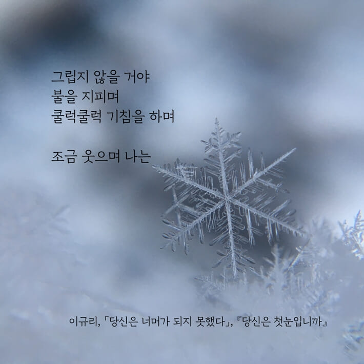 카드뉴스2