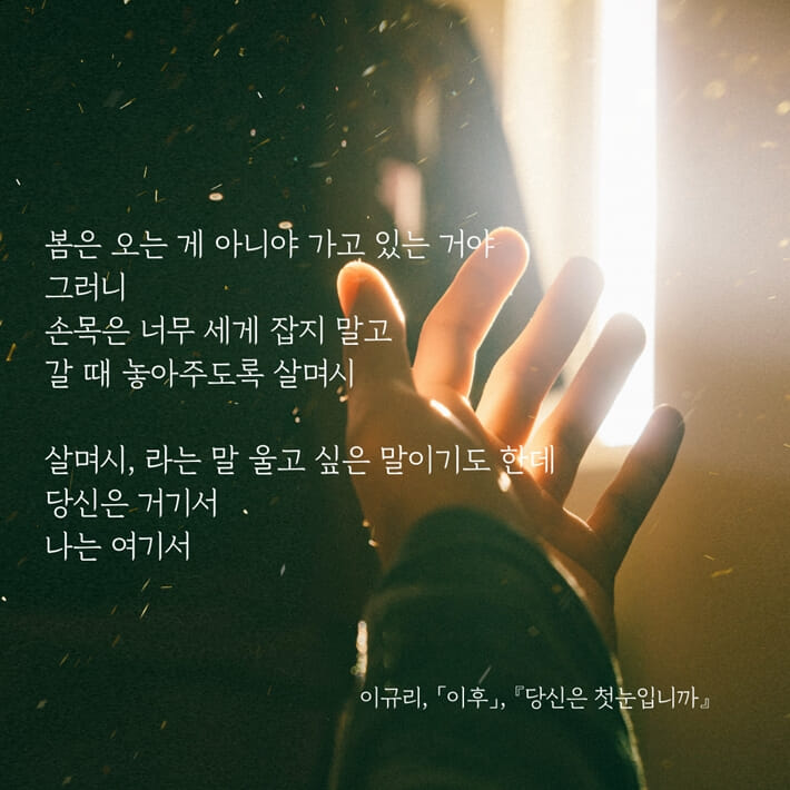 카드뉴스4