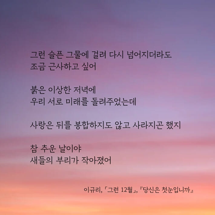 카드뉴스5