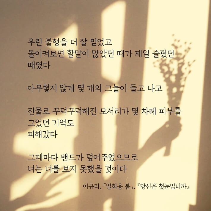 카드뉴스7