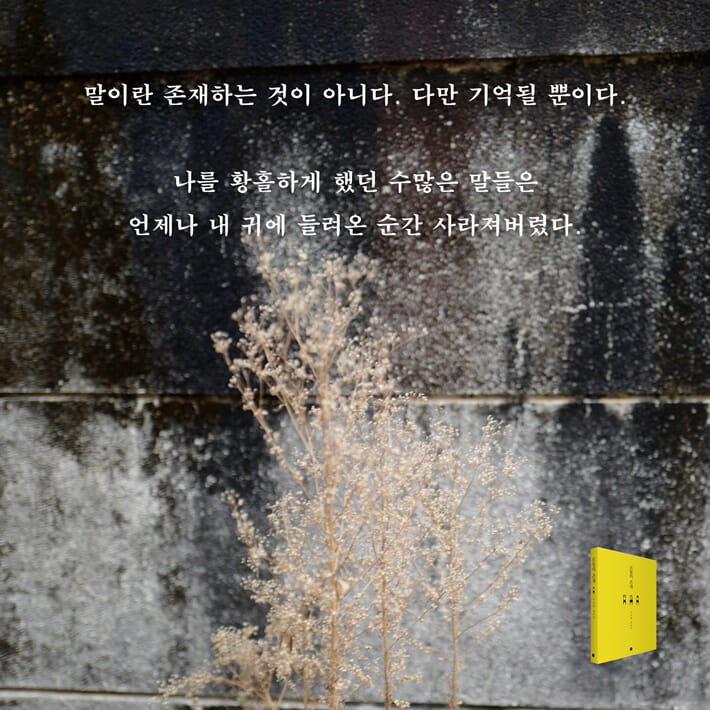 카드뉴스3
