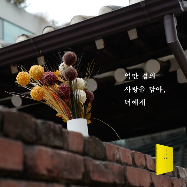 카드뉴스7