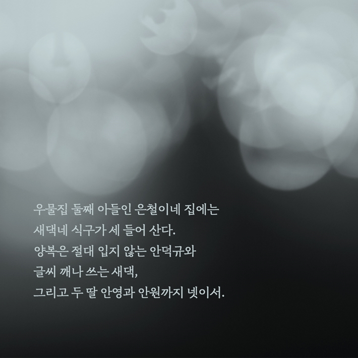 카드뉴스1