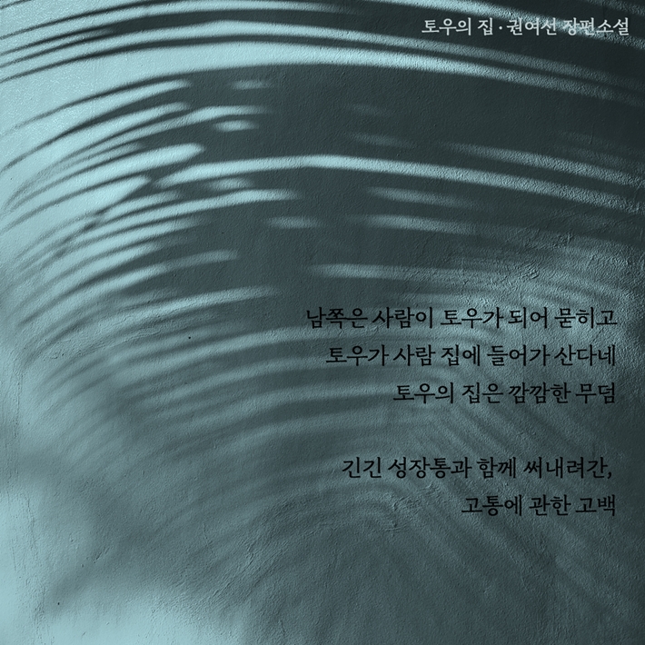카드뉴스6