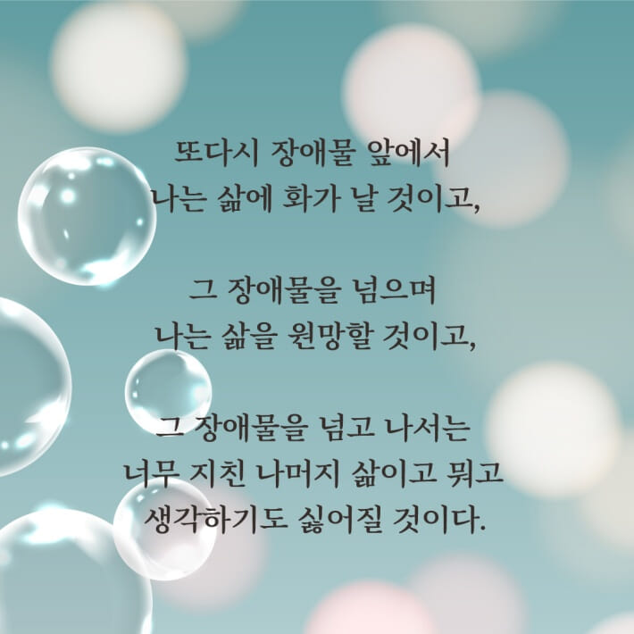 카드뉴스5
