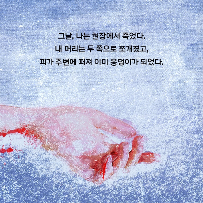카드뉴스0